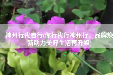 神州行我看行(你行我行神州行，品牌焕新助力美好生活再升级)