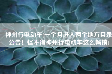 神州行电动车(一个月进入两个地方目录公告！怪不得神州行电动车这么畅销)