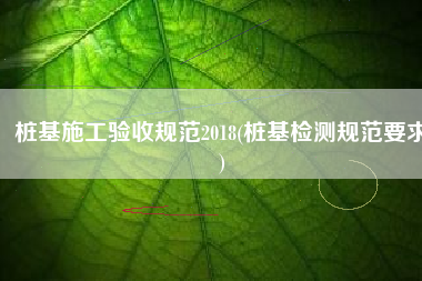 桩基施工验收规范2018(桩基检测规范要求)