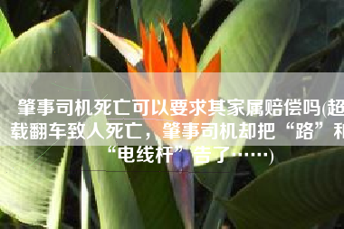 肇事司机死亡可以要求其家属赔偿吗(超载翻车致人死亡，肇事司机却把“路”和“电线杆”告了……)