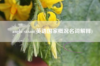 anglo saxon(英语国家概况名词解释)