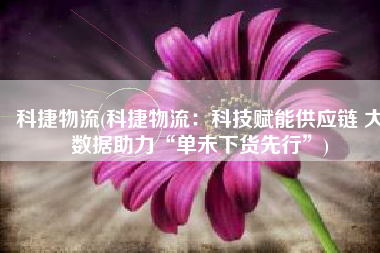 科捷物流(科捷物流：科技赋能供应链 大数据助力“单未下货先行”)