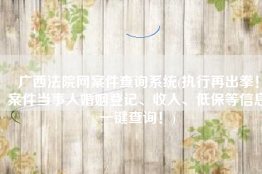 广西法院网案件查询系统(执行再出拳！案件当事人婚姻登记、收入、低保等信息一键查询！)