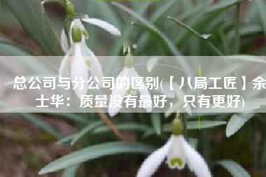 总公司与分公司的区别(【八局工匠】余士华：质量没有最好，只有更好)