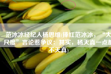 范冰冰经纪人杨思维(捧红范冰冰，“大尺度”言论惹争议：其实，杨天真一点都不天真)