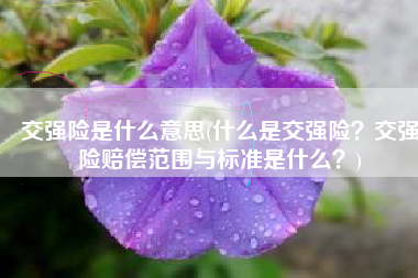 交强险是什么意思(什么是交强险？交强险赔偿范围与标准是什么？)