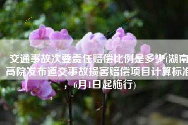 交通事故次要责任赔偿比例是多少(湖南高院发布道交事故损害赔偿项目计算标准，6月1日起施行)