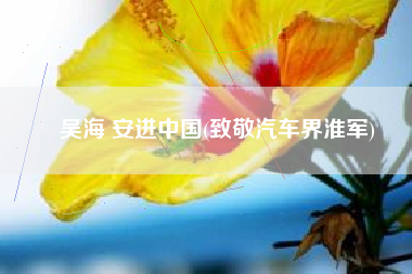 吴海 安进中国(致敬汽车界淮军)