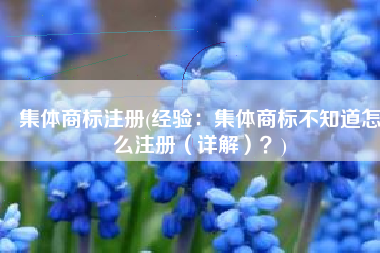 集体商标注册(经验：集体商标不知道怎么注册（详解）？)