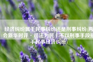 经济纠纷属于民事纠纷还是刑事纠纷(两会新华时评·司法为民丨不以刑事手段插手民事经济纠纷)