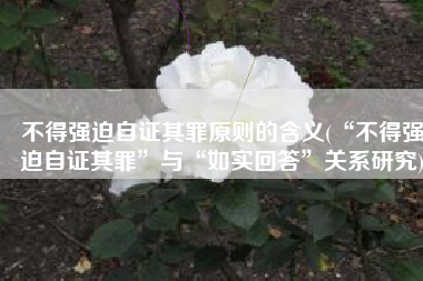 不得强迫自证其罪原则的含义(“不得强迫自证其罪”与“如实回答”关系研究)