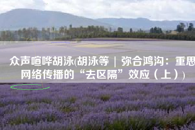 众声喧哗胡泳(胡泳等 | 弥合鸿沟：重思网络传播的“去区隔”效应（上）)