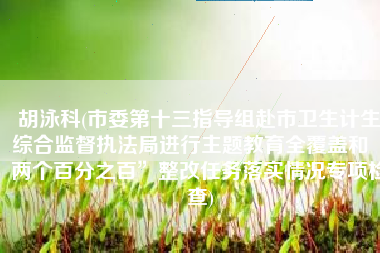 胡泳科(市委第十三指导组赴市卫生计生综合监督执法局进行主题教育全覆盖和“两个百分之百”整改任务落实情况专项检查)