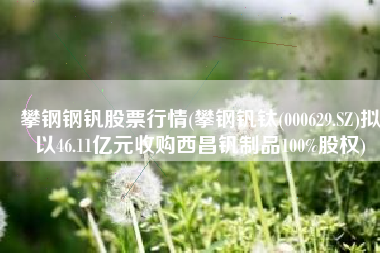 攀钢钢钒股票行情(攀钢钒钛(000629.SZ)拟以46.11亿元收购西昌钒制品100%股权)