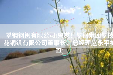 攀钢钢钒有限公司(突发！攀钢集团攀枝花钢钒有限公司董事长、总经理赵永平被查)