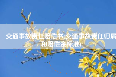 交通事故责任赔偿书(交通事故责任归属和赔偿金标准)