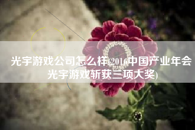 光宇游戏公司怎么样(2016中国产业年会 光宇游戏斩获三项大奖)