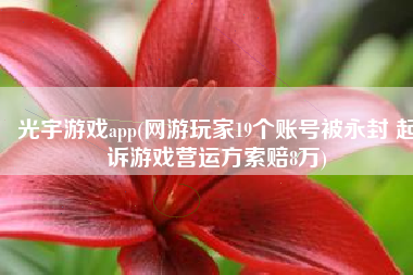 光宇游戏app(网游玩家19个账号被永封 起诉游戏营运方索赔8万)