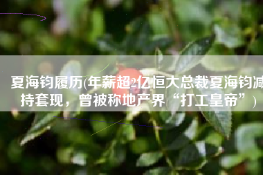 夏海钧履历(年薪超2亿恒大总裁夏海钧减持套现，曾被称地产界“打工皇帝”)