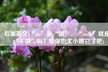 后盖英文(“do”是“做”，“undo”就是“不做”吗？那你也太小瞧它了吧)