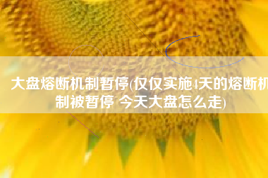 大盘熔断机制暂停(仅仅实施4天的熔断机制被暂停 今天大盘怎么走)