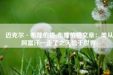 迈克尔·布隆伯格(布隆伯格文章：美从阿富汗一走了之失信于世界)