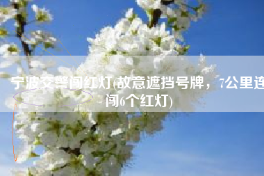 宁波交警闯红灯(故意遮挡号牌，7公里连闯6个红灯)