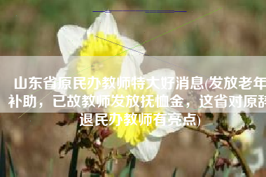 山东省原民办教师特大好消息(发放老年补助，已故教师发放抚恤金，这省对原辞退民办教师有亮点)