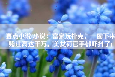 赛点小说(小说：富豪玩扑克，一圈下来赌注高达千万，美女荷官手都吓抖了)