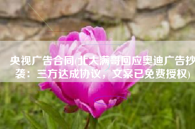 央视广告合同(北大满哥回应奥迪广告抄袭：三方达成协议，文案已免费授权)