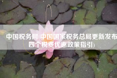 中国税务网(中国国家税务总局更新发布四个税费优惠政策指引)