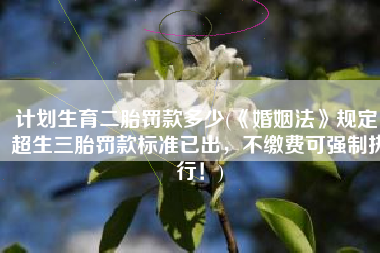 计划生育二胎罚款多少(《婚姻法》规定：超生三胎罚款标准已出，不缴费可强制执行！)