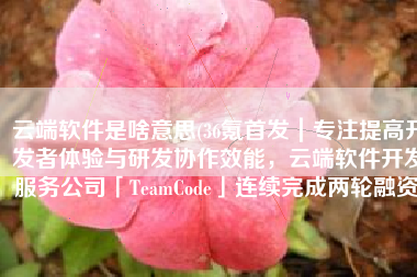 云端软件是啥意思(36氪首发｜专注提高开发者体验与研发协作效能，云端软件开发服务公司「TeamCode」连续完成两轮融资)