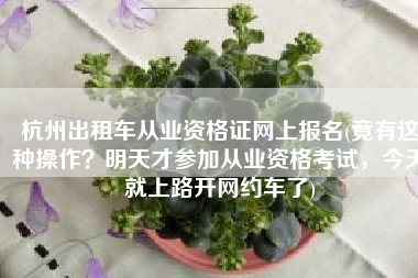 杭州出租车从业资格证网上报名(竟有这种操作？明天才参加从业资格考试，今天就上路开网约车了)