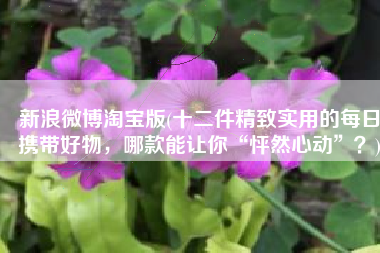 新浪微博淘宝版(十二件精致实用的每日携带好物，哪款能让你“怦然心动”？)