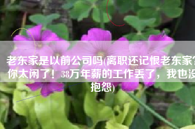 老东家是以前公司吗(离职还记恨老东家？你太闲了！38万年薪的工作丢了，我也没抱怨)