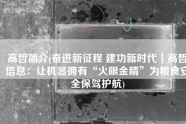 高哲简介(奋进新征程 建功新时代｜高哲信息：让机器拥有“火眼金睛”为粮食安全保驾护航)