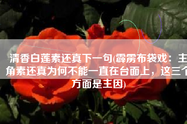 清香白莲素还真下一句(霹雳布袋戏：主角素还真为何不能一直在台面上，这三个方面是主因)