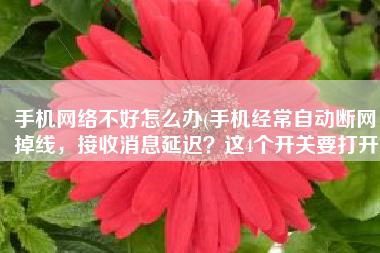 手机网络不好怎么办(手机经常自动断网，掉线，接收消息延迟？这4个开关要打开)