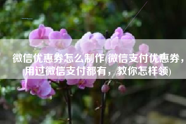 微信优惠券怎么制作(微信支付优惠券，用过微信支付都有，教你怎样领)