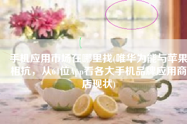 手机应用市场在哪里找(唯华为能与苹果相抗，从64位App看各大手机品牌应用商店现状)