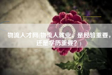 物流人才网(物流人就业，是经验重要，还是学历重要？)