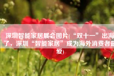 深圳智能家居展会图片(“双十一”出海了，深圳“智能家居”成为海外消费者最爱)
