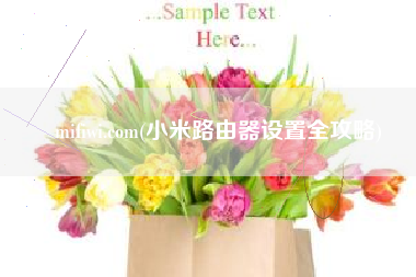 mifiwi.com(小米路由器设置全攻略)