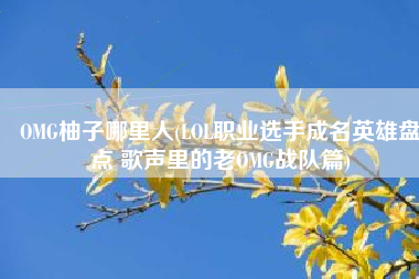 OMG柚子哪里人(LOL职业选手成名英雄盘点 歌声里的老OMG战队篇)