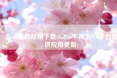 gopro官网应用下载(GoPro不再为WP平台提供应用更新)