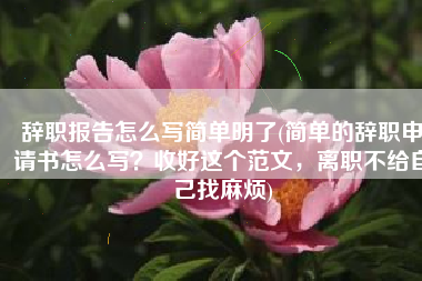 辞职报告怎么写简单明了(简单的辞职申请书怎么写？收好这个范文，离职不给自己找麻烦)
