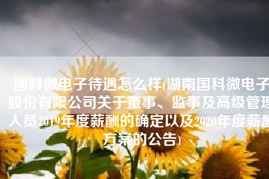 国科微电子待遇怎么样(湖南国科微电子股份有限公司关于董事、监事及高级管理人员2019年度薪酬的确定以及2020年度薪酬方案的公告)