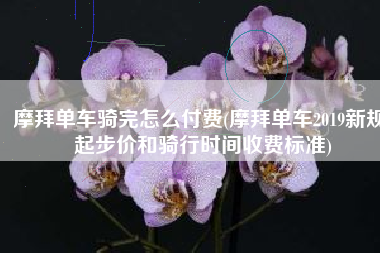 摩拜单车骑完怎么付费(摩拜单车2019新规 起步价和骑行时间收费标准)