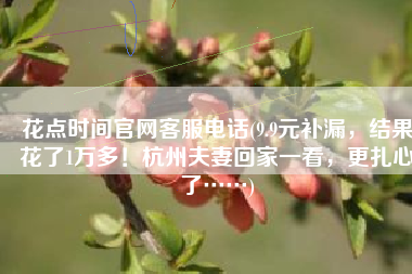 花点时间官网客服电话(9.9元补漏，结果花了1万多！杭州夫妻回家一看，更扎心了……)